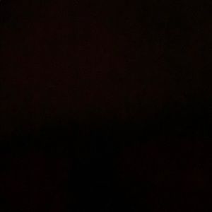 Meet your Posher, Annie